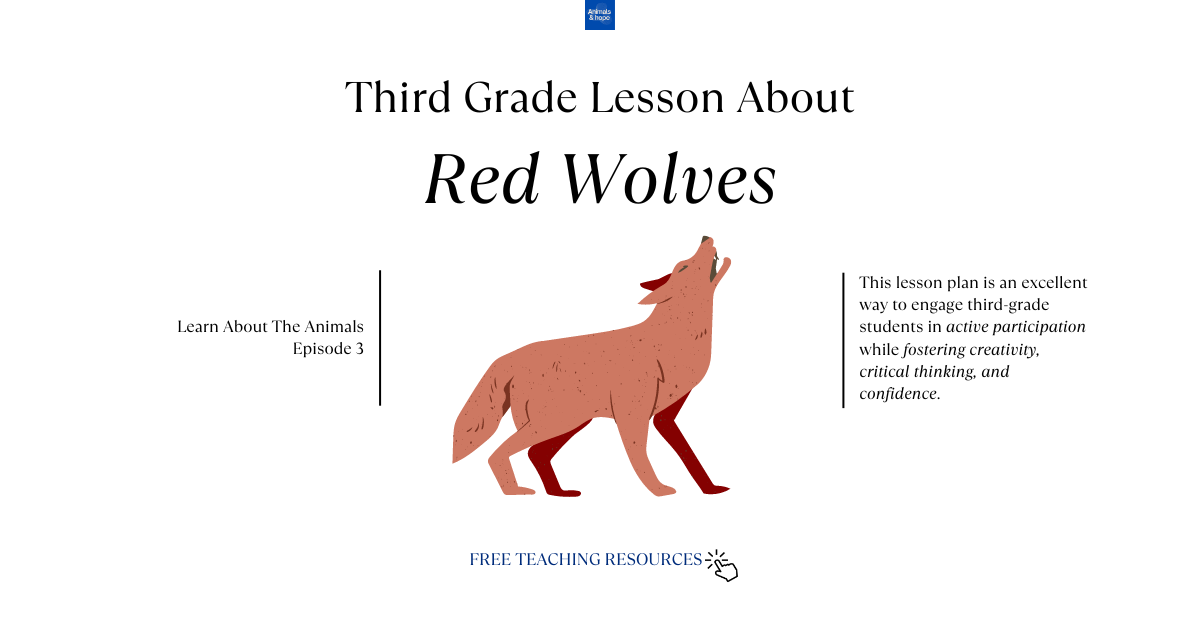 Red Wolves Lesson Plan for Third-Grade (FREE Template)